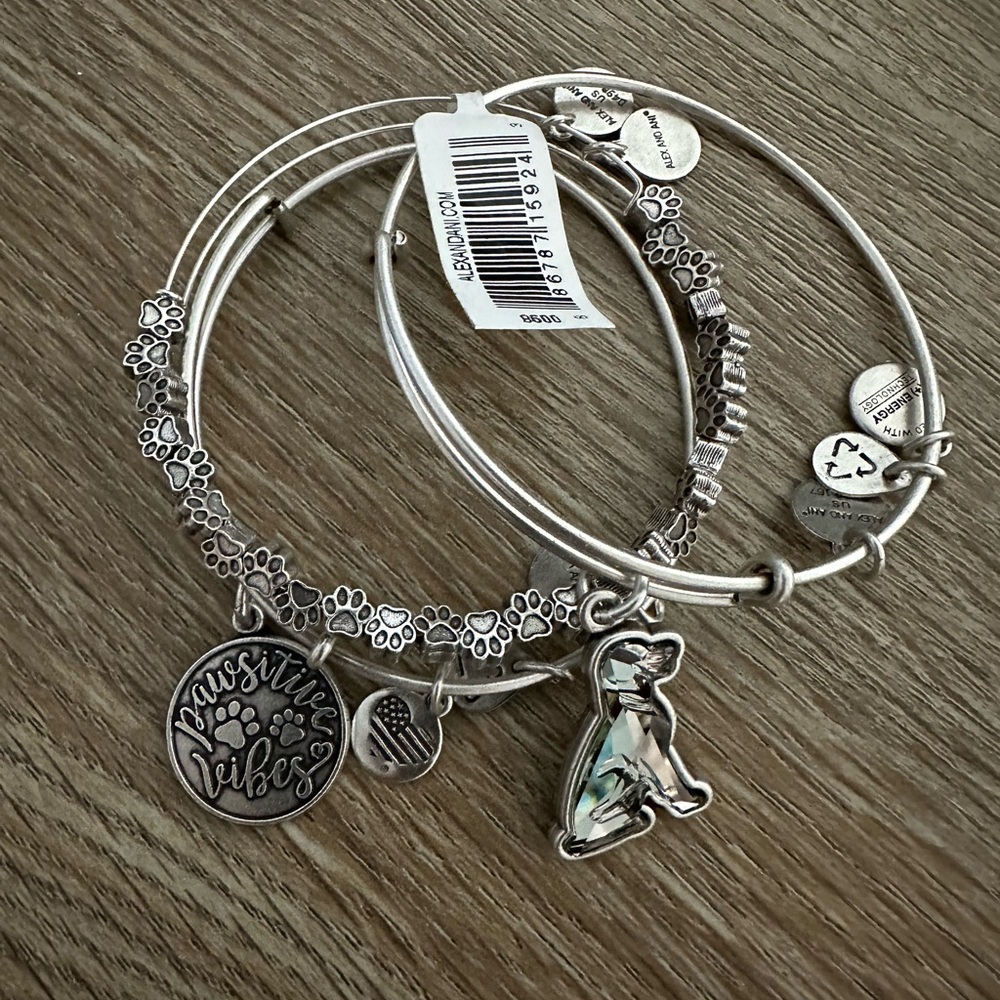 Alex and Ani Pawsitive vibes set of 3